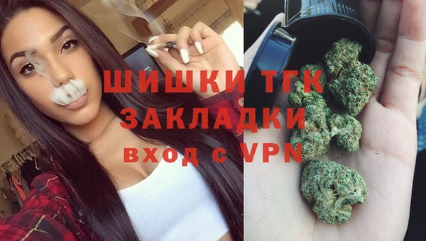 apvp Горнозаводск