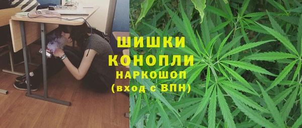 apvp Горнозаводск