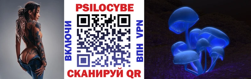 дарнет шоп Мценск Псилоцибиновые грибы Cubensis
