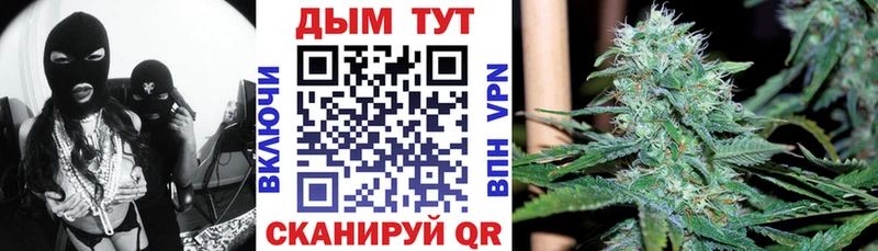 Бошки Шишки VHQ  купить наркотики цена  Мценск 